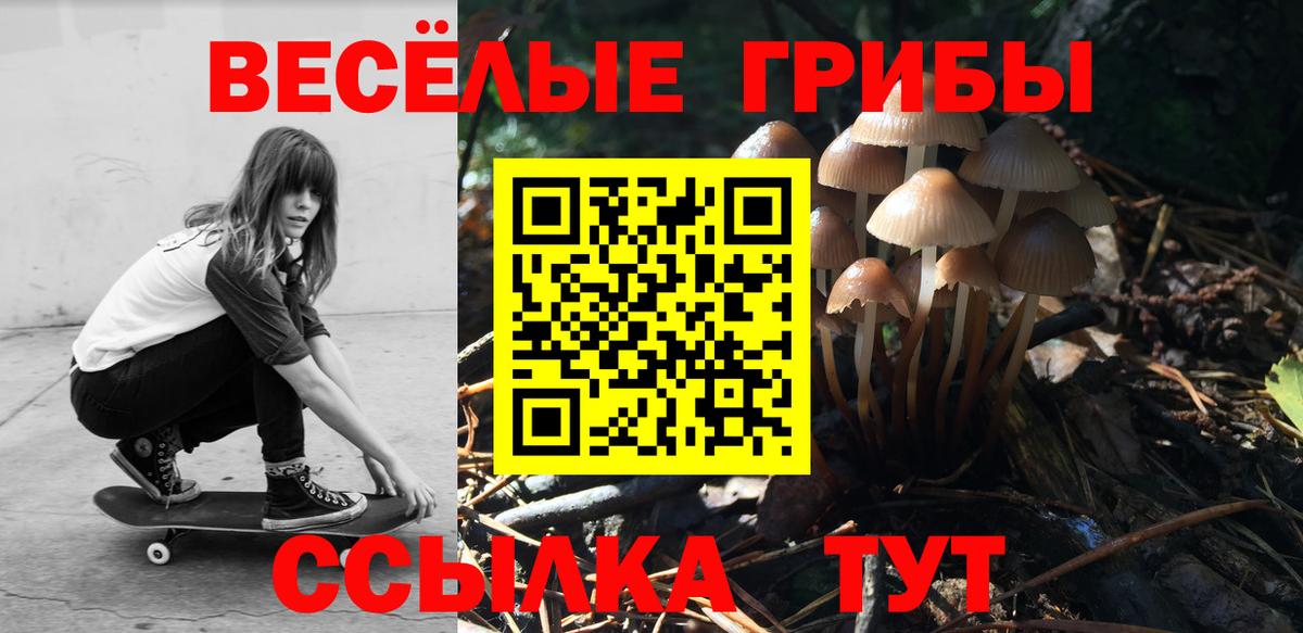 Псилоцибиновые грибы Cubensis  Вход с VPN  Новокубанск 