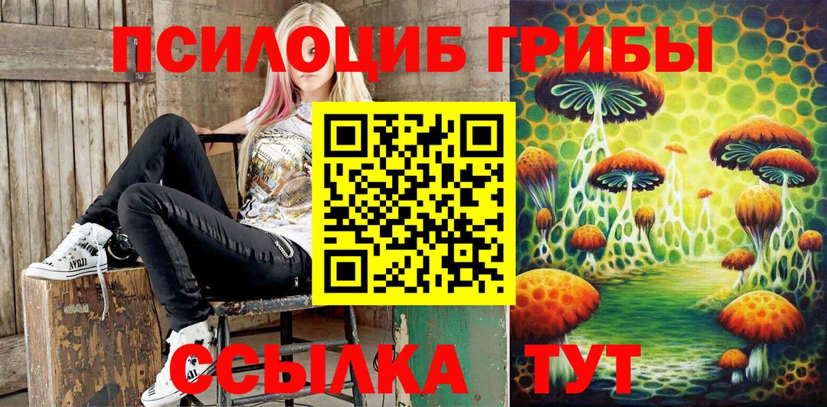Псилоцибиновые грибы Psilocybine cubensis Новокубанск