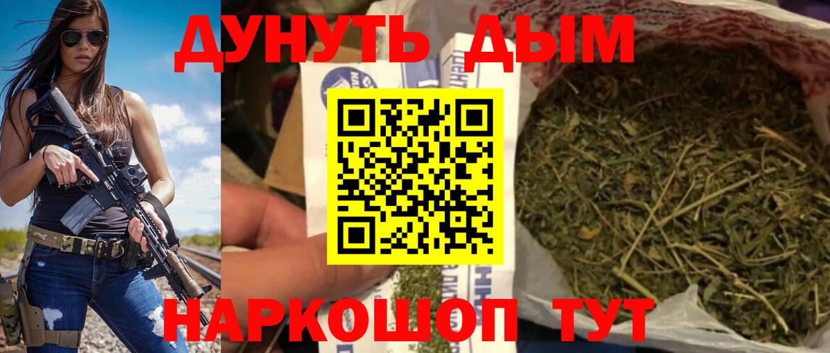 Канабис семена Новокубанск
